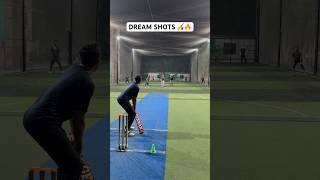 Batsman Dream Shots 🏏🔥 Cricket Batting Class With Out Of World Stylish Shots cricket shorts [upl. by Gardal]