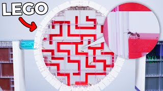 I Trapped 100 Ants in a LEGO MAZE [upl. by Bael]