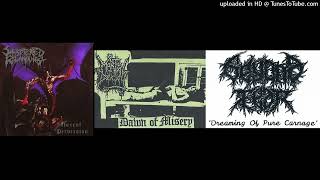 90s Underground Death Metal Acoustic Interludes Part I [upl. by Rebbecca713]