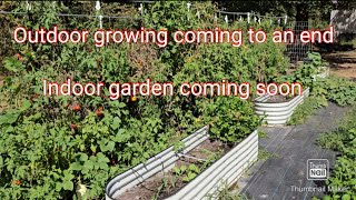 October garden update Indoor garden coming soon garden gardening [upl. by Bouzoun]