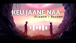 Keu Jaane Naa  কেউ জানে না  Bangla Song  Lofi Music  Slowed and Reverb  SSlowedReverb [upl. by Senskell916]