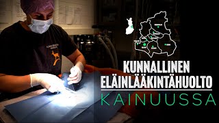 Eläinlääkintähuolto Kainuussa [upl. by Perkin]