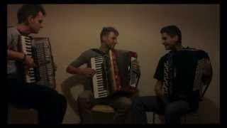 Eurythmics  Sweet Dreams Crazy Accordion Trio Cover [upl. by Poree403]