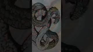 Amphisbaena Greek mythology shorts mythicalcreatures cryptids mythical [upl. by Nesta151]