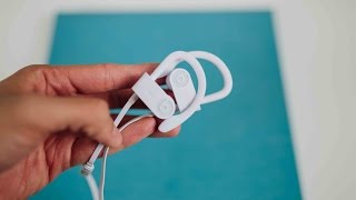 PowerBeats 3 Wireless Headphones Review and Comparison [upl. by Mcafee]