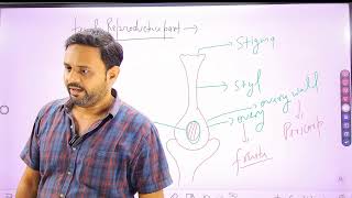 SEXUAL REPRODUCTION IN FLOWERING PLANTS CLASS 12 NCERT BIOLOGY [upl. by Mallina]