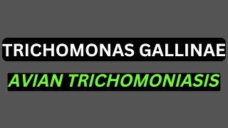 TRICHOMONAS GALLINAEAvian trichomoniasis [upl. by Hausner]