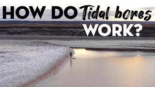 How do Tidal Bores Work [upl. by Goodden]