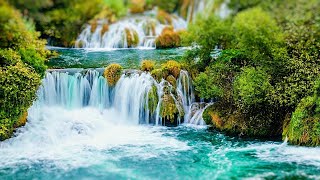 Ney Sesi Akarsu Sesi Su SesiKuş SesiDoğa SesiŞifalı SeslerTerapi MeditasyonRahatlatıcı Müzik [upl. by Takashi]