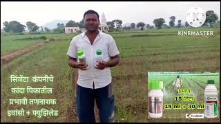 कांदा पिकातील तणनाशक  Syngenta Evenso Fusilade [upl. by Eirollam]