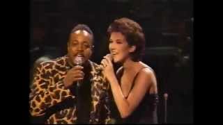 Celine Dion amp Peabo Bryson  Beauty And The Beast  Japan 1994 [upl. by Kiele]