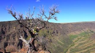 Steens Mountain Wilderness [upl. by Farkas884]