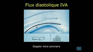 17  Physiologie cardio vasculaire partie 17 [upl. by Moclam]