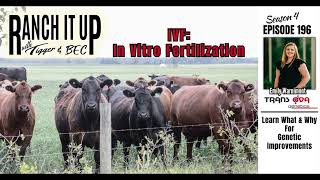 Why IVF To Improve Cattle Herd Genetics [upl. by Elleivad210]