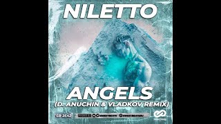 NILETTO  Angels D Anuchin amp Vladkov Remix [upl. by Sibylla373]