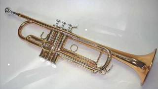 Ave Maria Schubert for Trumpet [upl. by Emmalynne]