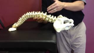 Spinal Decompression using Reverse Hyper  Susquehanna Spine Lancaster  WestsideMedical [upl. by Ailedo745]