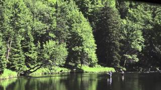 The Hungry Trout  Fly Fishing in the Adirondack Mountains [upl. by Aneema207]