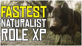 FASTEST Way to Level up the NATURALIST ROLE  Red Dead Online Tips [upl. by Goodson]