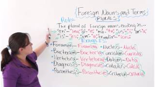 ESL Lesson Making Foreign Nouns And Foreign Terms Plural [upl. by Neellok959]