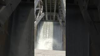 Lowering of Spillway Radial Gate 3 [upl. by Aihsad]