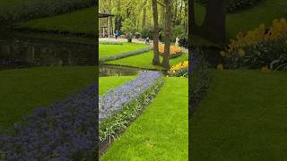 Keukenhof Gardenslisse [upl. by Abbye284]