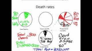 Epidemiology Calculating Death Rates [upl. by Eudo4]