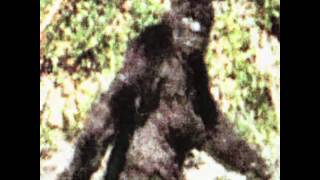 1 of 82 Patterson Gimlin Bigfoot best clips film2009 [upl. by Caraviello]