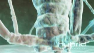 Bacteriophage Hybrid Medical Animation HD [upl. by Ecaroh]