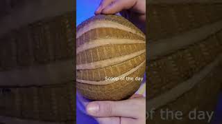 Cute Animals My three banded armadillo shorts youtubeshorts [upl. by Ayom718]