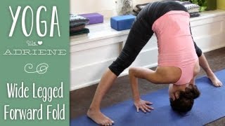 Standing WideLegged Forward Fold  Prasarita Padottanasana [upl. by Punke143]