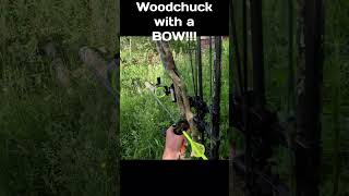 I got a Woodchuck with a BOW [upl. by Ocsicnarf]