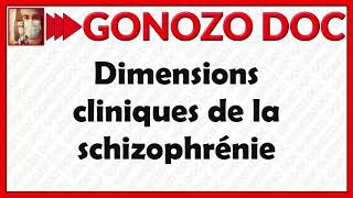 Dimensions cliniques de la schizophrénie [upl. by Kramnhoj858]