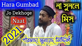 Hara Gumbad Jo Dekhoge Naat Junaid Siddique। Junaid Siddiqui Naat।Junaid Siddique gojol।bangla Gojol [upl. by Grearson]