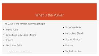 What Are Vulvar Varicosities shorts [upl. by Larena]