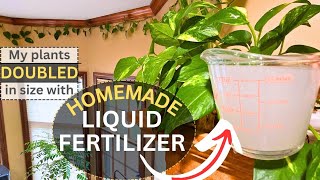 Super EASY DIY natural liquid FERTILIZER for indoor and outdoor plants [upl. by Hsirehc]