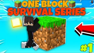 ONE BLOCK SURVIVAL SERIES 1  RAJAT GAMERZ 09 BLOCK BLOCKS SURVIVAL SERIES [upl. by Anial490]