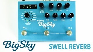 Strymon BigSky  Swell Reverb machine audio demo [upl. by Henni]