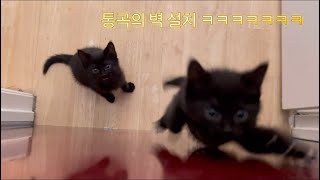 통곡의 벽 amp 홈 캠 설치 💕 Wailing Wall amp Home Cam Installation 💕 [upl. by Simmie]