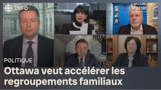 Réunifications familiales  Ottawa va dépasser les cibles fixées par Québec  Mordus de politique [upl. by Dahsar]