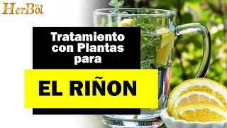 Tratamiento con Plantas para el Riñón Hidronefrosis ─ TESTIMONIO Herbol [upl. by Kerns]