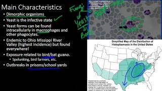 Histoplasmosis [upl. by Amando106]