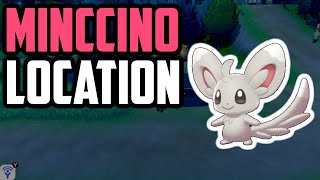 Where to Find Minccino  Pokemon Sword amp Shield [upl. by Ardnnaed]