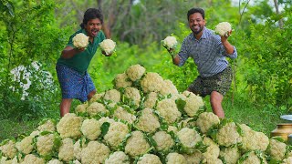 Gobi Manchurian Recipe  Cauliflower 65 Recipe  Village cooking [upl. by Groos]