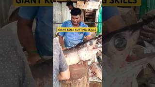 Giant Kola Fish Cutting Skill shorts 4kviral shortsfeed fishmarket fishcutting fish [upl. by Suhpoelc]