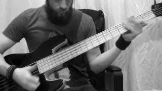 Tesseract  Singularity  Of Energy Mulles Bass Cover [upl. by Smith]