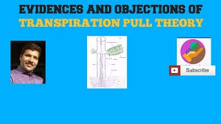 Evidences And Objections Of Transpiration Pull Theory [upl. by Mala]