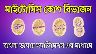 Mitosis Cell Division in Bengali [upl. by Niac]