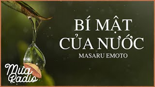 BÍ MẬT CỦA NƯỚC Bản Dịch Độc Quyền Lê Trung  Masaru Emoto  Mưa Radio [upl. by Naimad]