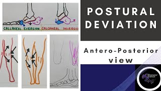 POSTURAL DEVIATION ANTERIO POSTERIOR VIEW LOWER LIMB Posture BiomechanicsPhysiotherapy Tutorial [upl. by Chloette]